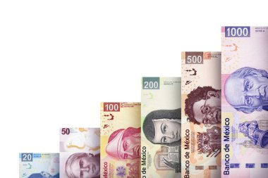 para büyüme grafiği