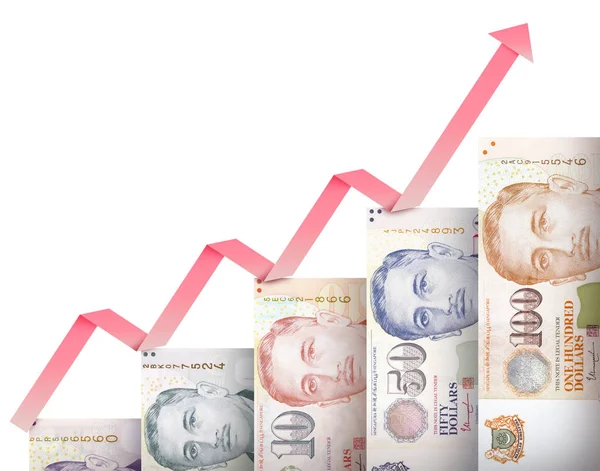 para büyüme grafiği