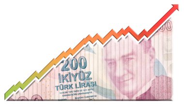 para büyüme grafiği