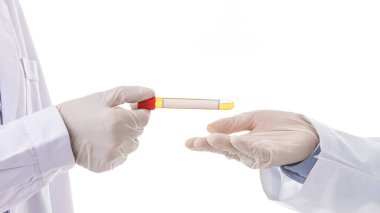 Doktorların ya da araştırmacıların iki eli beyaz arka planda izole edilmiş boş fotokopi alanı olan test tüpleri teslim ediyor. Sağlık ekibi kavramı, araştırma ve virüs salgınıyla mücadelede başarılı oldu.