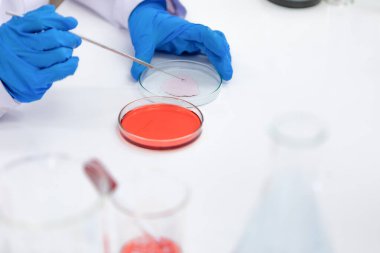 Laboratuvarda laboratuvar aletleri ve ekipmanlarıyla testin çözümünü bulmak için çalışan bilim adamı. Yeni yararlı bilgi için sağlık sektöründe çalışan kişiler için kavram.