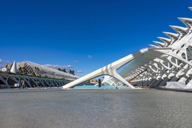 La Ciudad De Las Artes (Sanat Şehri), Valencia, İspanya