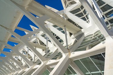 Valencia, İspanya 'daki Museu de les Ciencies Principe Felipe' nin çatısının detayları.