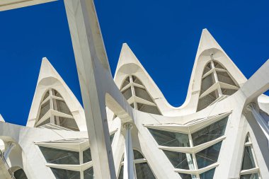Valencia, İspanya 'daki Museu de les Ciencies Principe Felipe' nin çatısının detayları.