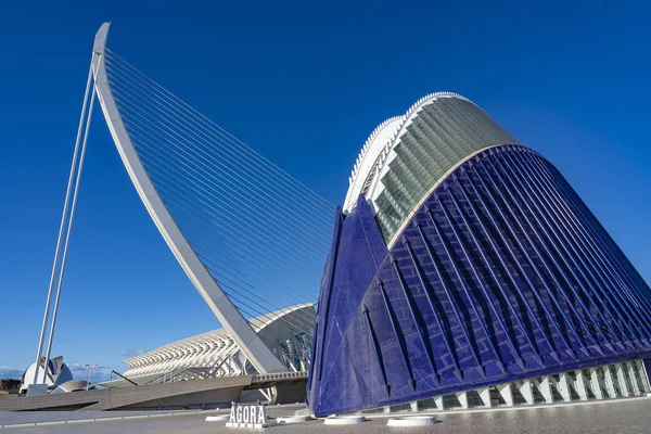 Agora Assut Bridge Museu Les Ciencies Principe Felipe Hemisferic Palau — Stock Photo, Image