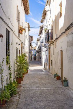 Typical old Spanish street, Calle Purisima, with many planters in Requena, Spain