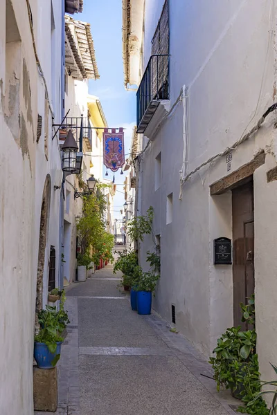 Calle Purisima Typical Spanish Street Old Houses Lots Blue Planters — Stockfoto