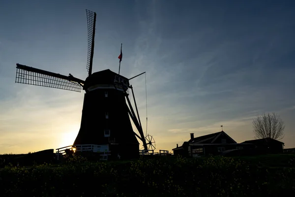 Soleil Couchant Derrière Moulin Tweemanspolder Près Rottemeren Zevenhuizen Pays Bas — Photo