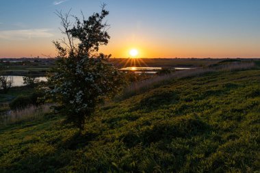 Lahey 'de batan güneş, Zoetermeer' deki Buytenpark 'taki tepelerden görüldü.