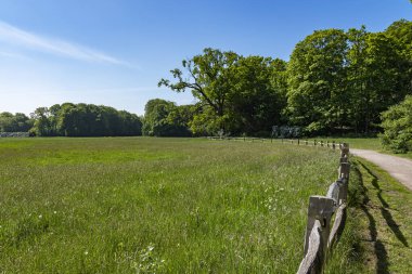 Hollanda 'nın Wassenaar kentindeki De Horsten parkında geniş çitlerden oluşan geniş bir çayırda orman kenarındaki yeşil çimlerin manzarası.