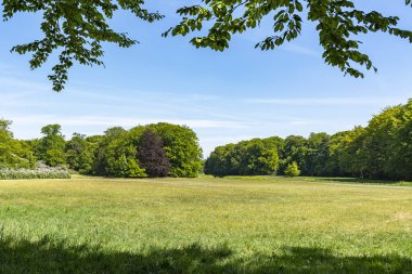 Hollanda, Wassenaar 'daki De Horsten parkında Seringenberg' in (leylak) yanında yeşil çimenler bulunan büyük çayır.