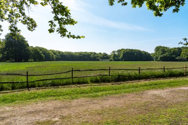 Hollanda 'nın Wassenaar kentindeki De Horsten parkında, orman kenarına ayrılmış genç yeşil çimlerin ve geleneksel bölünmüş ağaç gövdelerinden oluşan çitlerin olduğu geniş bir çayır manzarası.