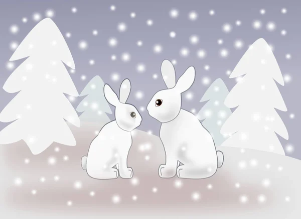Hares in the Snow — Stock Photo, Image