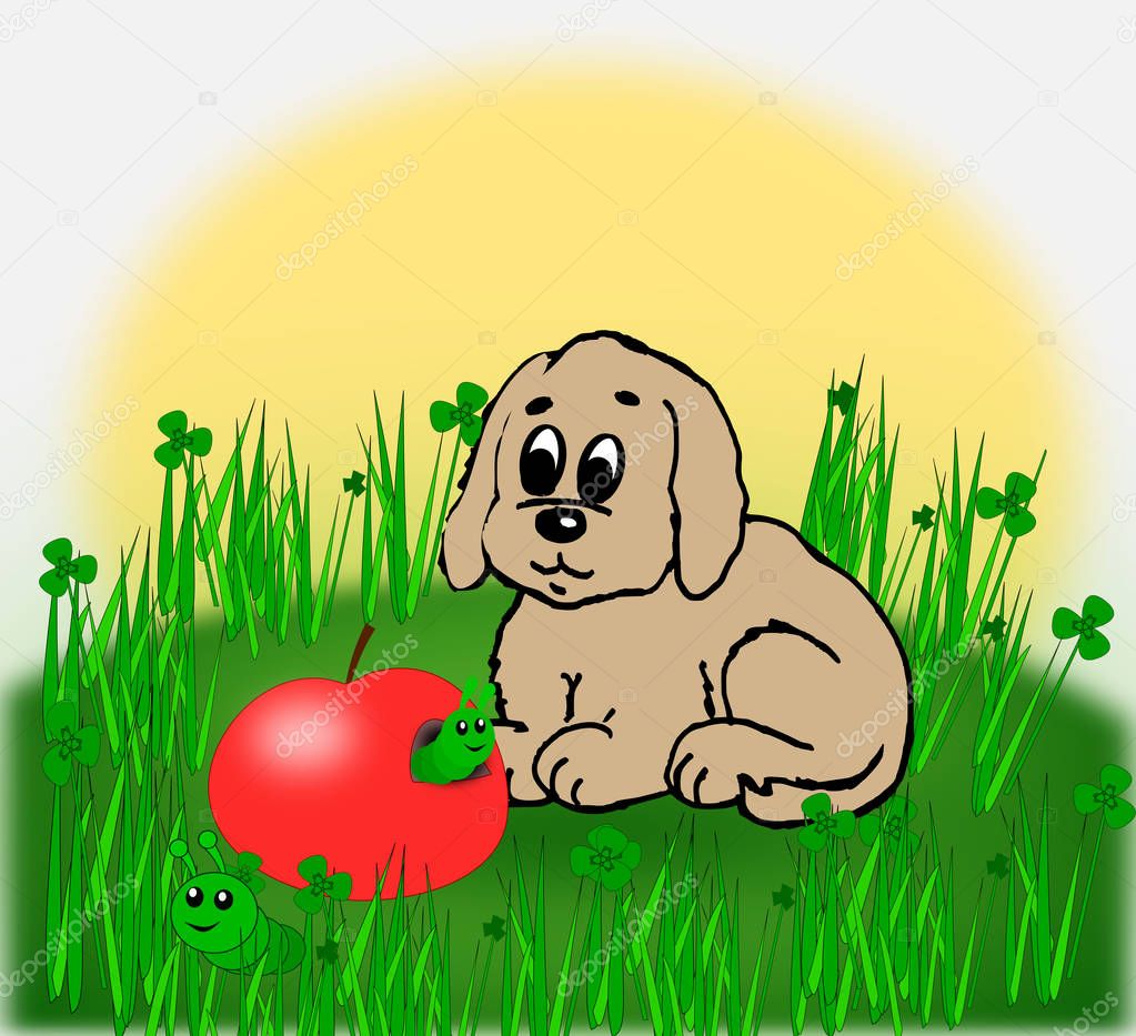 A cute little dog looking at a worm eaten apple.