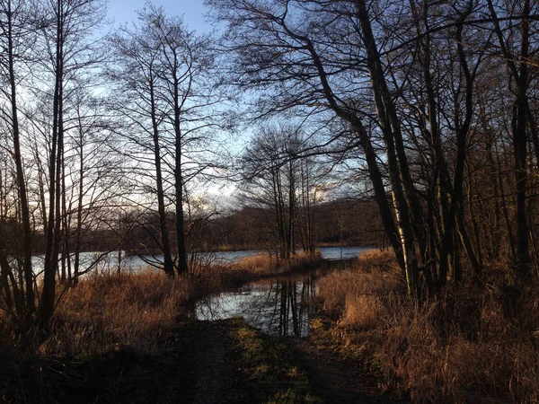 Beau Paysage Automne Avec Une Rivière Des Arbres Premier Plan — Photo