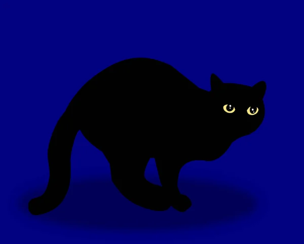 Black Mysterious Cat Yellow Eyes Blue Background — Stock Photo, Image