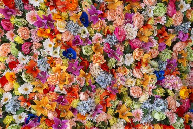 Papatya buketleri, güller, dekorasyon için çeşitli orkideler.