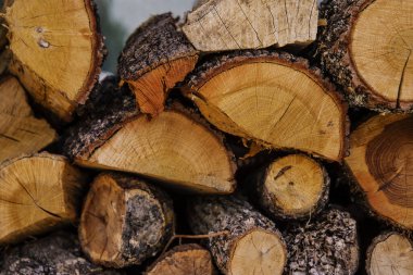 Tahta kütükler torbalarda satışa hazır.