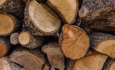 Tahta kütükler torbalarda satışa hazır.