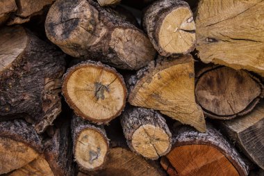 Tahta kütükler torbalarda satışa hazır.