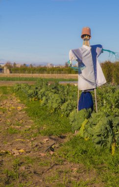 Korkuluk park alanında iyi giyimli.