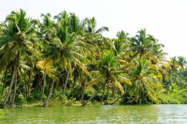 Orman Kerala önemsizden, lagünler ve göller zinciri