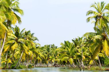 Orman Kerala önemsizden, lagünler ve göller zinciri