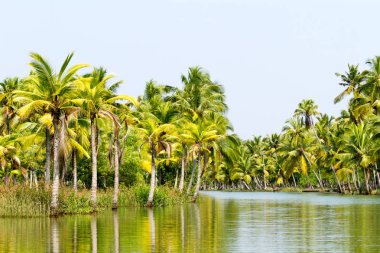 Orman Kerala önemsizden, lagünler ve göller zinciri