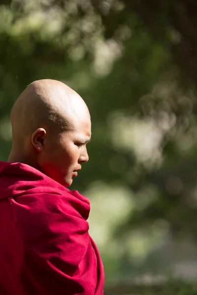 Jelichun 수녀원, 프로에서 사려깊은 진지한 젊은 불교 수녀 — 스톡 사진