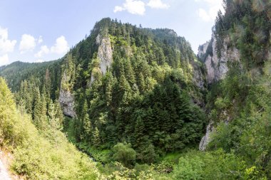 Rodop Dağları, bol bol yaprak döken ve herdem yeşil orman ile büyümüş gorge dağda