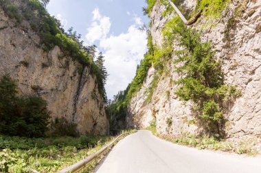 Bol bol yaprak döken ve herdem yeşil orman ile büyümüş Rodop Dağları'nın gorge bir dağ Nehri boyunca dar motor yol 
