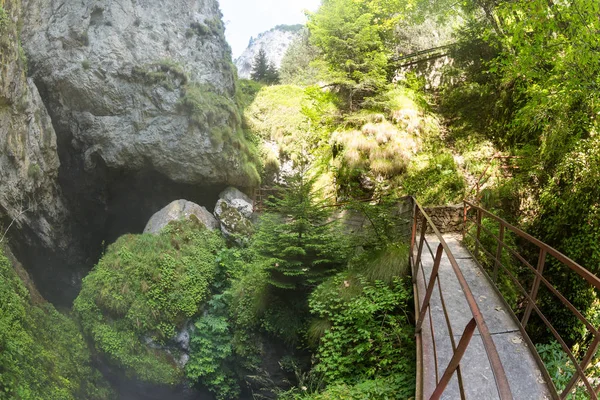 Entrance (climb) into the huge Devil\'s Throat cave in the Rhodop