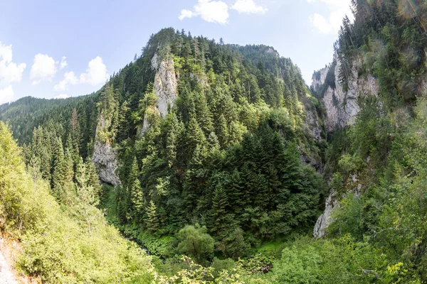 Гора в ущелині Родопи, рясно заростають листяних і вічнозелені лісового — стокове фото