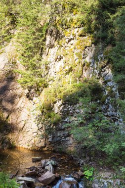 Rodop Dağları'nın sarp yamaçlar arasında akan dağ dere