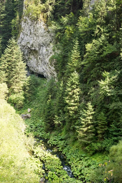 Mountain stream flowing among the steep slopes of the Rhodope Mountains — Stock Photo, Image