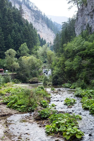 Mała Góra rzeka płynie wśród stromych zboczach pasma górskiego Rodopy — Zdjęcie stockowe