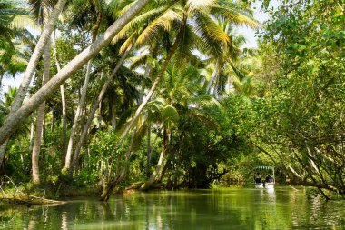 Kerala önemsizden, lagünler ve göl zinciri yoluyla yolculuk