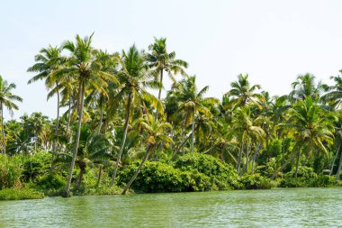Orman Kerala önemsizden, lagünler ve göller zinciri