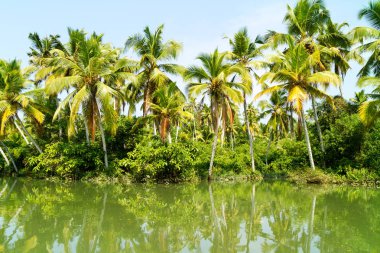 Orman Kerala önemsizden, lagünler ve göller zinciri