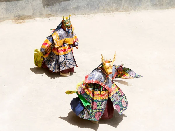 Lamayuru Manastırı, Hindistan Cham dans festivali sırasında Tibet Budizmi dini maskeli ve kostümlü gizem dansı tanımlanamayan rahipler geyik maskeleri de gerçekleştirmek.