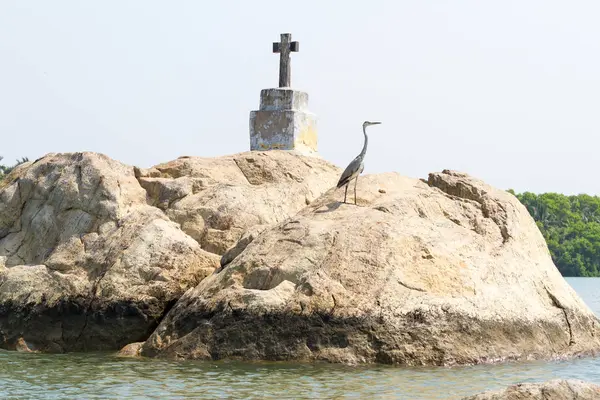 Christelijke Kruis Reiger Zilverreiger Vogel Eilanden Van Kleine Rots Kerala — Stockfoto