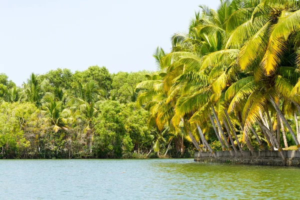 Selva dos sertões de Kerala, cadeia de lagoas e lagos — Fotografia de Stock