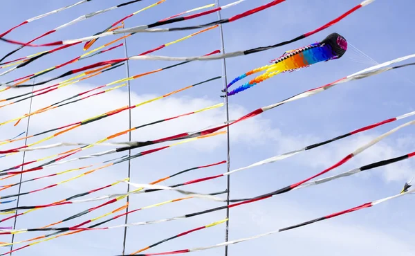 Büyük ahtapot gibi uçurtma ve uçurtmalar rüzgarda renkli şeritler — Stok fotoğraf