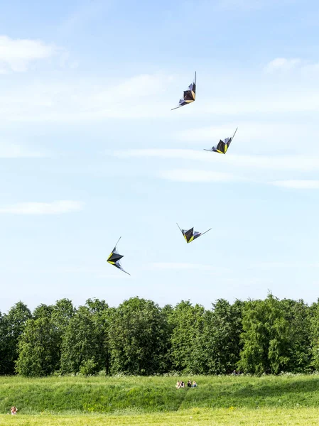Stunt latawce przeciw błękitne niebo nad grupą widzów odpoczynku — Zdjęcie stockowe