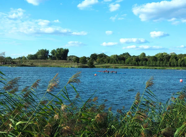 湖の上の漕ぎ手 ポズナン ポーランド 2019年9月5日ポズナンのマルタ湖で訓練中の若い漕ぎ手の和解 — ストック写真