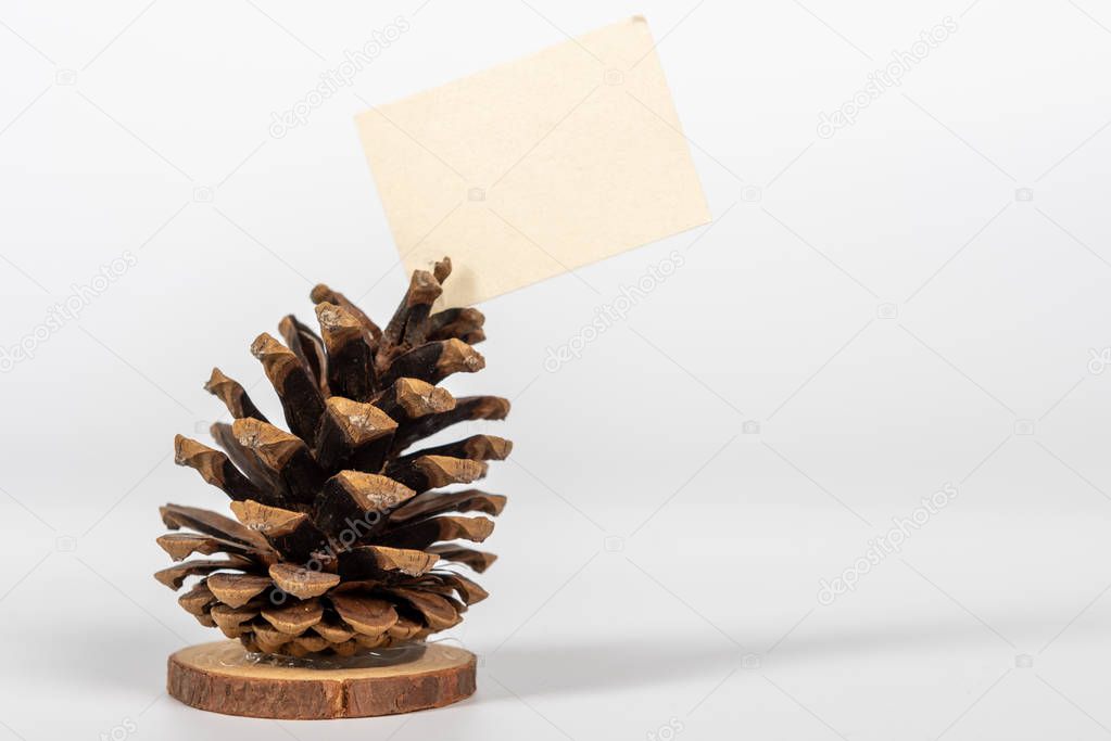 A pinecone dinner service name card