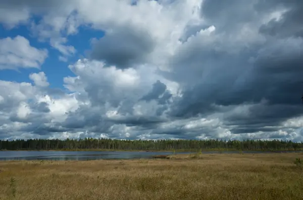 Landscape of a lake in autumn in cloudy weather