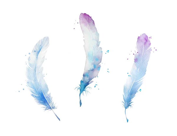 Set of watercolor feathers, hand painted — Stock Photo, Image