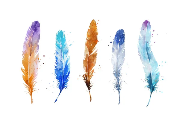 Set of watercolor feathers, hand painted — Stock Photo, Image