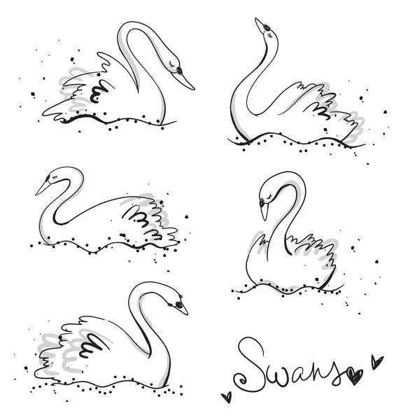 Conjunto de cisnes desenhados à mão, arte de linha, ilustração vetorial — Vetor de Stock